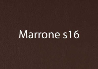 colore-Marrone-s16